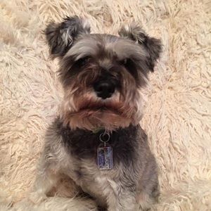 Meet your Posher, Quay